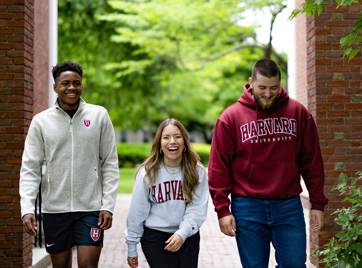 Our Start at Harvard University